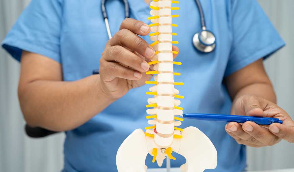 Degenerative Disc Disease | Top Rated Chiropractor In South Burlington, Vt June 2, 2026 Spine focused chiropractic care for degenerative disc disease