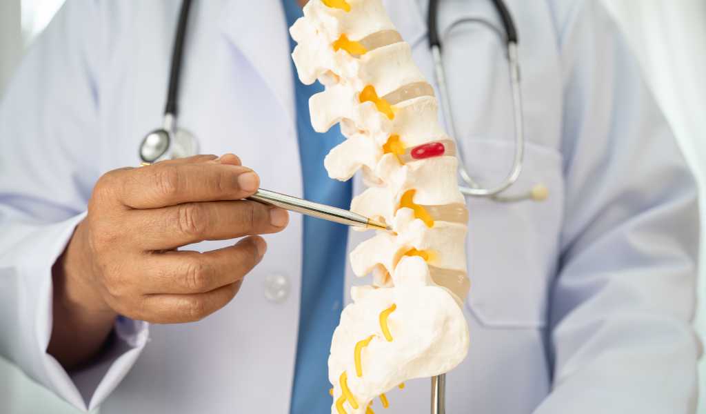 Disc Injuries | Top Rated Chiropractor In South Burlington, Vt June 2, 2026 Chiropractor evaluating spinal disc injury and back pain