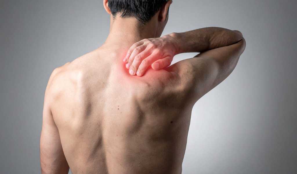 Shoulder Pain | Top Rated Chiropractor In South Burlington, Vt June 2, 2026 Shoulder pain | top rated chiropractor in south burlington, vt |